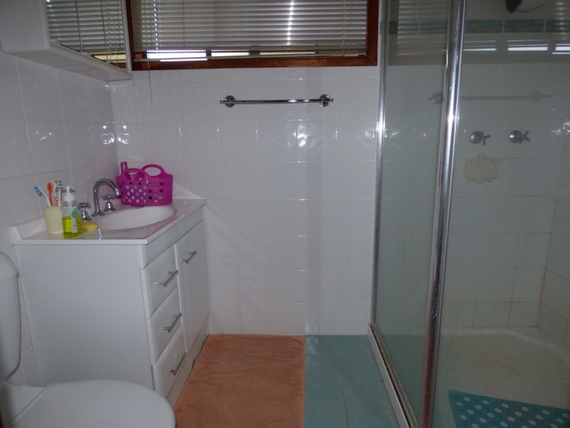 84 Alfred Street, St George QLD 4487