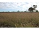 LOT 11 INGABY ROAD, St George QLD 4487