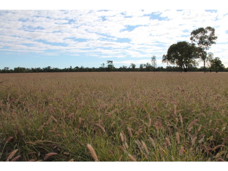 LOT 11 INGABY ROAD, St George QLD 4487