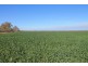 LOT 11 INGABY ROAD, St George QLD 4487