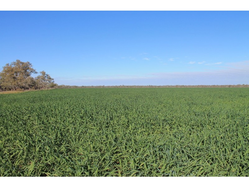 LOT 11 INGABY ROAD, St George QLD 4487