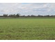 LOT 11 INGABY ROAD, St George QLD 4487