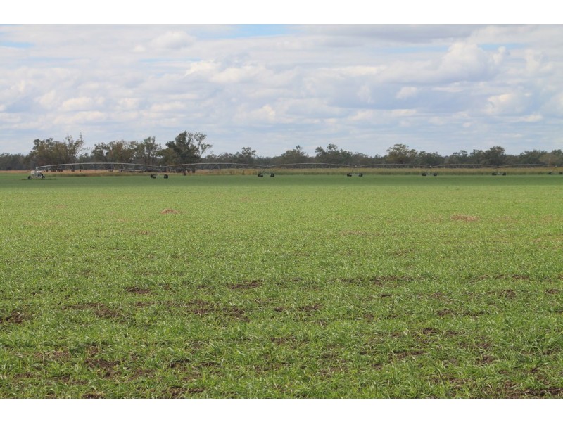 LOT 11 INGABY ROAD, St George QLD 4487