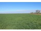 LOT 11 INGABY ROAD, St George QLD 4487