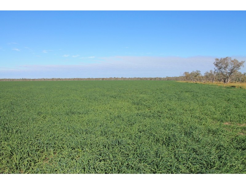 LOT 11 INGABY ROAD, St George QLD 4487