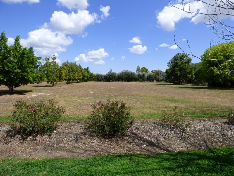 12567 Paltridge Road, St George QLD 4487