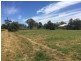 8 Theodore Street, Dirranbandi QLD 4486