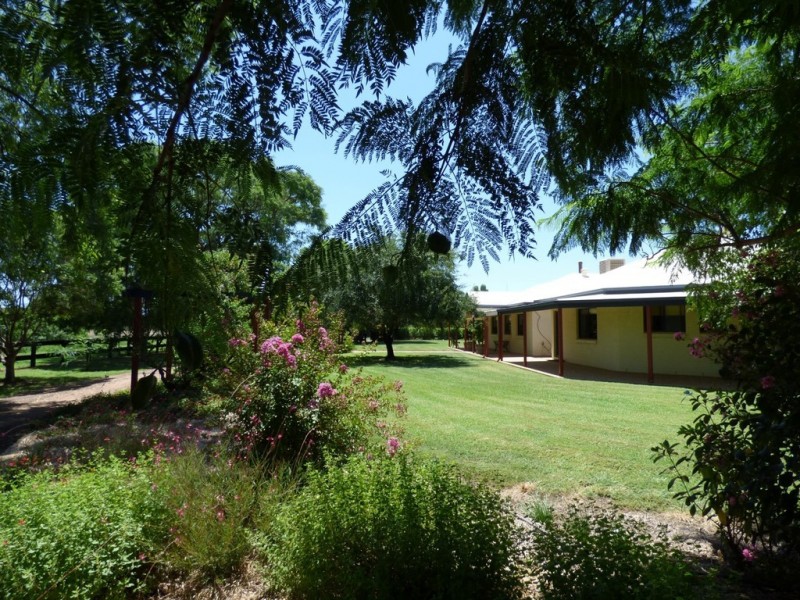 12 JE Kelly Road, St George QLD 4487