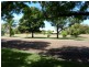 6 Cutler Court, St George QLD 4487