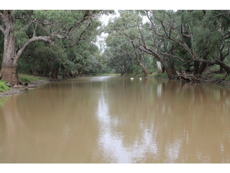 237 PERWELL ROAD, St George QLD 4487