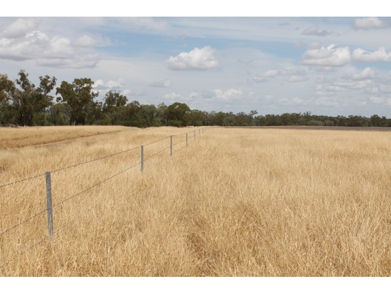 237 PERWELL ROAD, St George QLD 4487