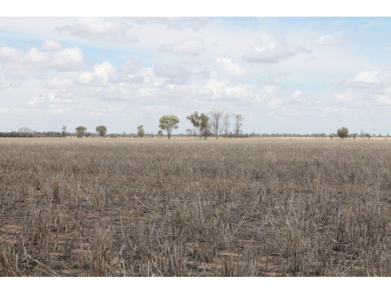 237 PERWELL ROAD, St George QLD 4487