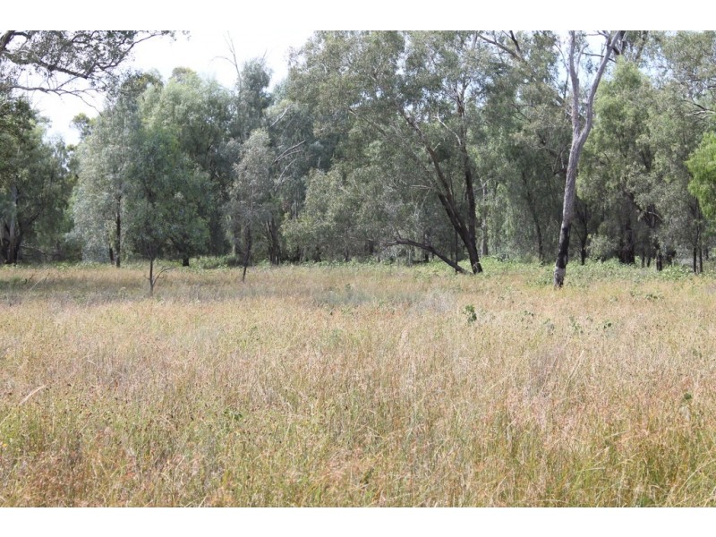 237 PERWELL ROAD, St George QLD 4487