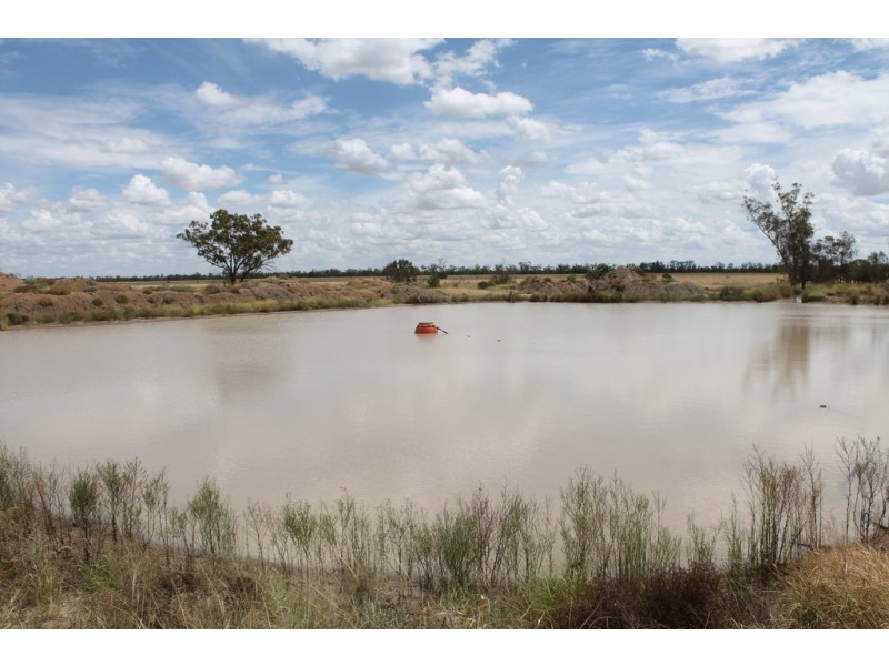 237 PERWELL ROAD, St George QLD 4487