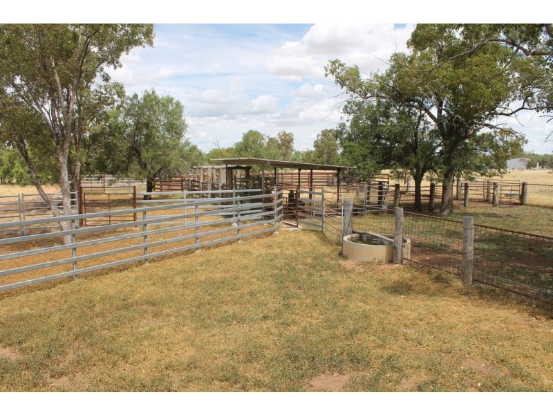 237 PERWELL ROAD, St George QLD 4487