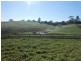 21 Williamson St, Fish Creek VIC 3959
