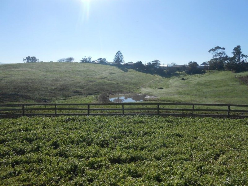 21 Williamson St, Fish Creek VIC 3959