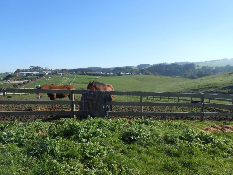 21 Williamson St, Fish Creek VIC 3959