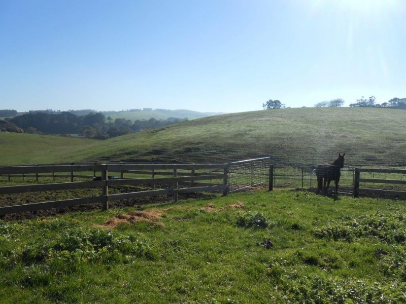 21 Williamson St, Fish Creek VIC 3959