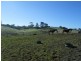 21 Williamson St, Fish Creek VIC 3959