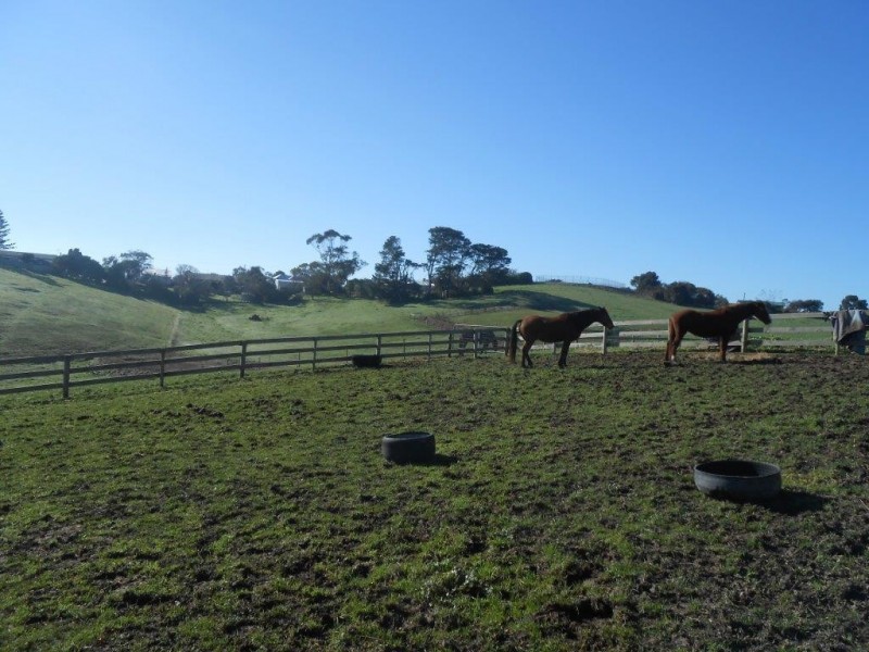 21 Williamson St, Fish Creek VIC 3959