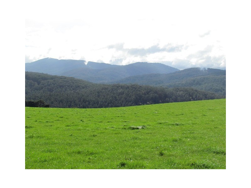 2325 Main Neerim Road, Neerim South VIC 3831
