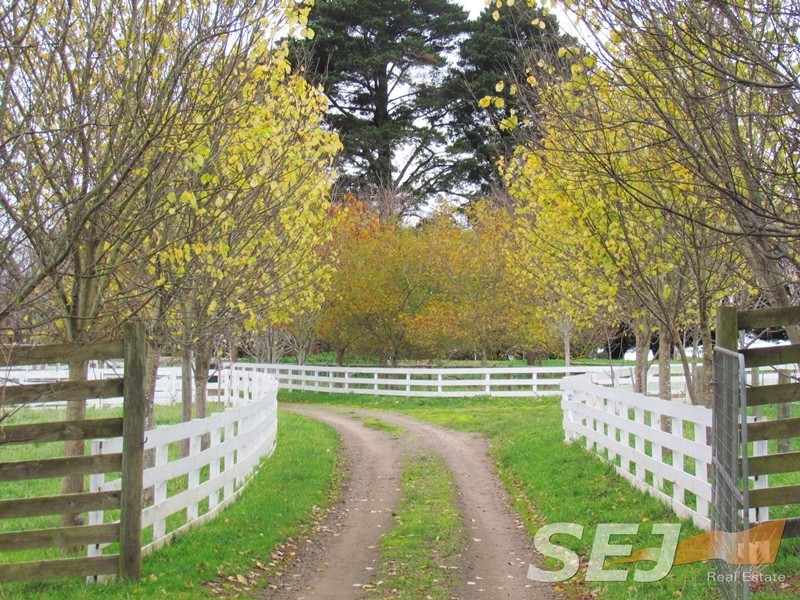 2325 Main Neerim Road, Neerim South VIC 3831
