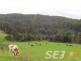 2325 Main Neerim Road, Neerim South VIC 3831