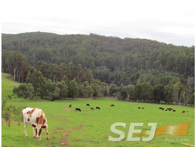 2325 Main Neerim Road, Neerim South VIC 3831