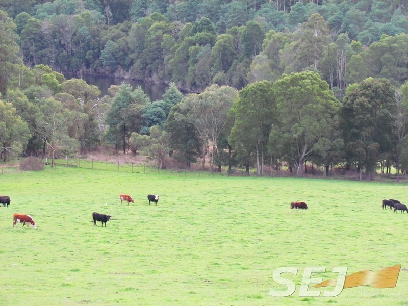 2325 Main Neerim Road, Neerim South VIC 3831