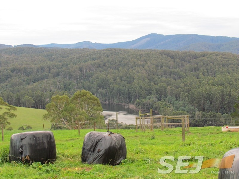 2325 Main Neerim Road, Neerim South VIC 3831