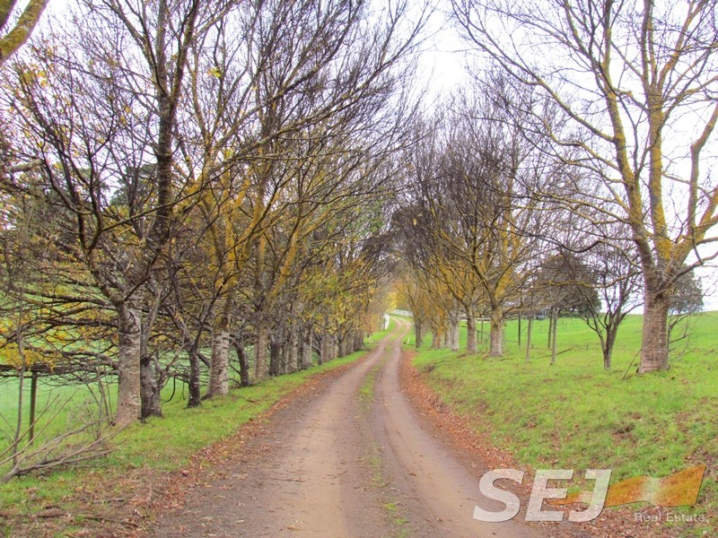 2325 Main Neerim Road, Neerim South VIC 3831