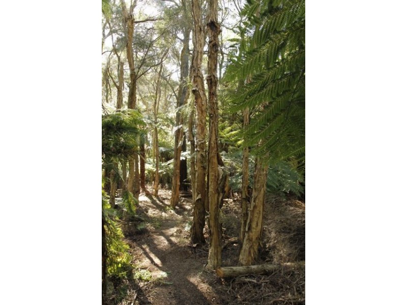 CA 18 HOBSONS ROAD, Foster VIC 3960