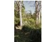 CA 18 HOBSONS ROAD, Foster VIC 3960