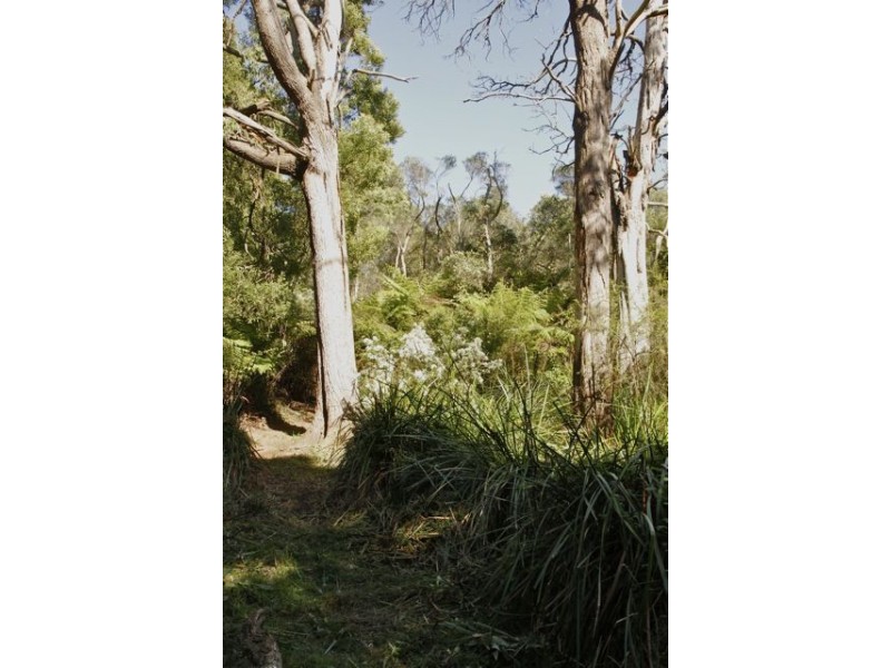 CA 18 HOBSONS ROAD, Foster VIC 3960