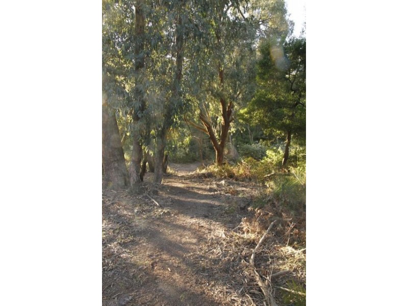 CA 18 HOBSONS ROAD, Foster VIC 3960