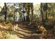CA 18 HOBSONS ROAD, Foster VIC 3960