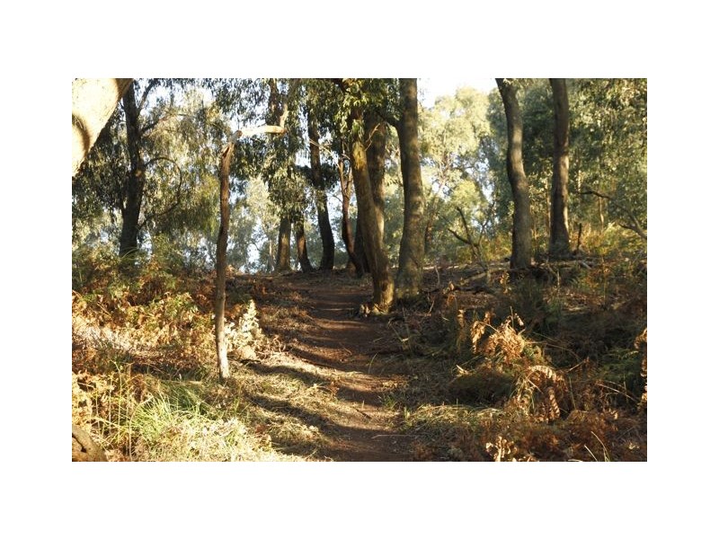 CA 18 HOBSONS ROAD, Foster VIC 3960