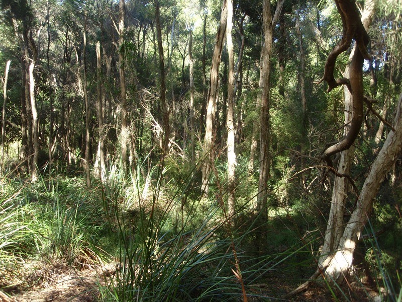 CA 18 HOBSONS ROAD, Foster VIC 3960