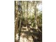 CA 18 HOBSONS ROAD, Foster VIC 3960