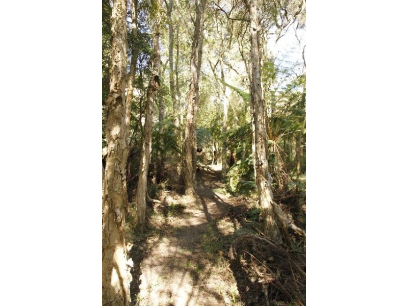 CA 18 HOBSONS ROAD, Foster VIC 3960