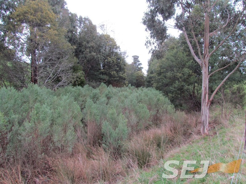 1690 Mt Baw Baw Tourist Road, Icy Creek VIC 3833