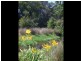 152 Fullers Rd, Foster VIC 3960