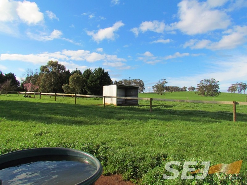 1515 McDonalds Track, Thorpdale VIC 3835