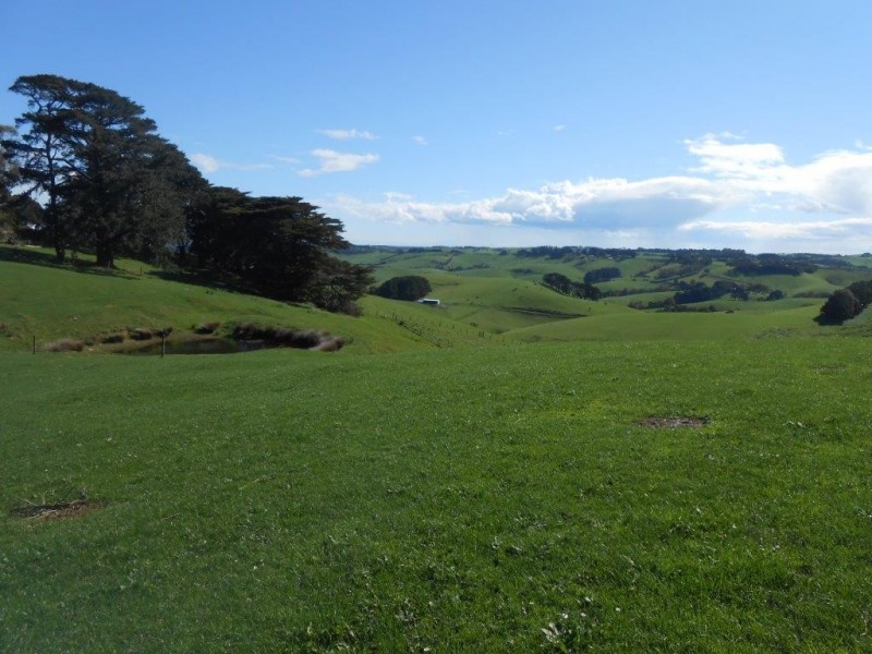 250 O’Gradys Ridge Road, Foster VIC 3960