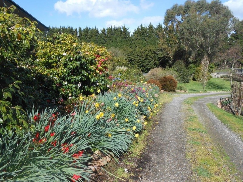 250 O’Gradys Ridge Road, Foster VIC 3960