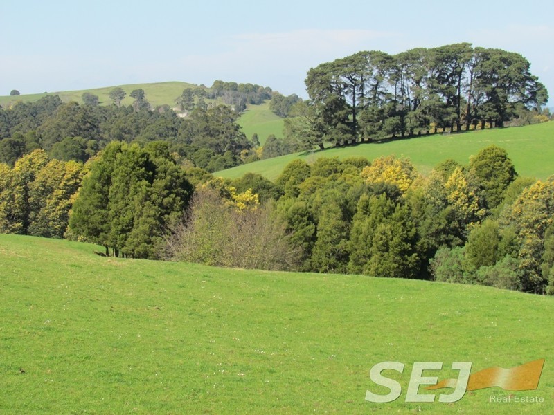 546 Yarragon South Rd, Yarragon South VIC 3823