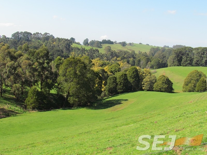 546 Yarragon South Rd, Yarragon South VIC 3823