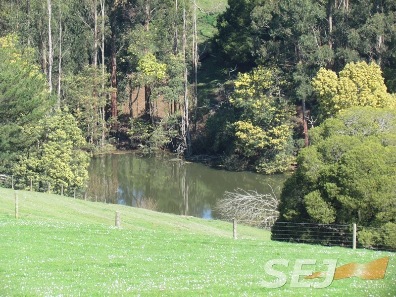 546 Yarragon South Rd, Yarragon South VIC 3823