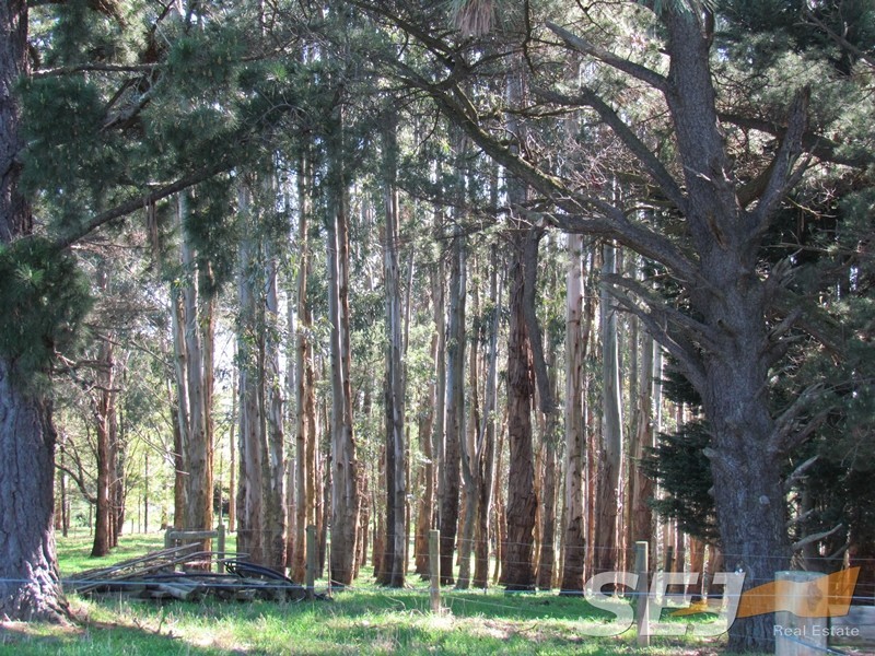 546 Yarragon South Rd, Yarragon South VIC 3823